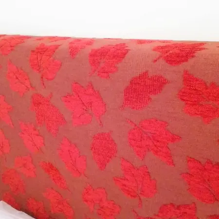 Myroom A Un Passo Dal Centro 招待所 阿雷佐